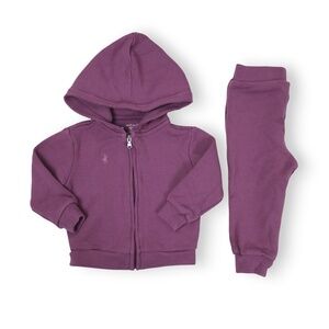 Ralph Lauren Toddler Girls Kids Purple Hoodie Joggers Set Size 12M